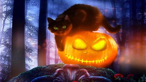 Kawaii Black Cat Halloween Wallpapers Wallpaper Cave