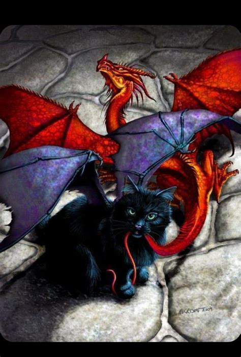 Dicetress On Twitter Cat Art Dragon Art Fantasy Dragon