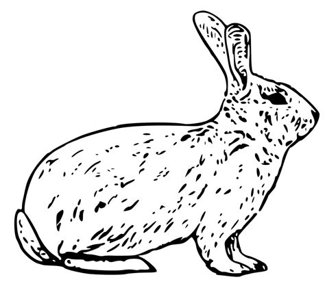 Rabbit Snow Bunny Clipart Clipartix