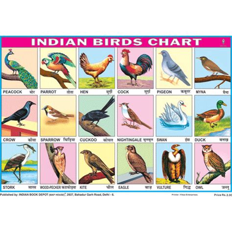 Buy Indian Birds Picture Chart Paper At Aamantran Stores Jaipur
