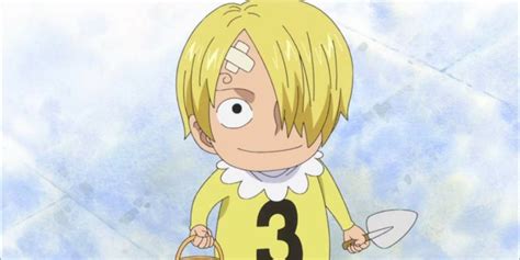 One Piece Cool Details About Sanjis Clothes