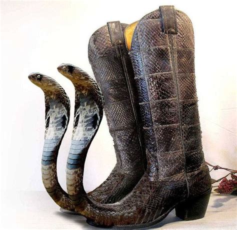 Dangerous Minds Timeline Photos Funny Shoes Boots Snakeskin Boots