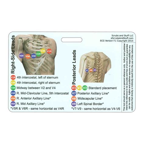 12 Lead Placement Badge Reference Card Emergency Nursing