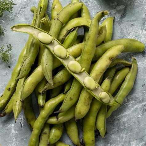 What Are Fava Beans Broad Beans Give Recipe