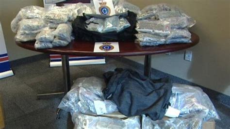paradise pot bust linked to organized crime say police cbc news