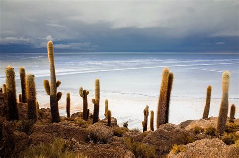 7 Reasons To Visit Bolivia Now The Best Things To Do In Bolivia