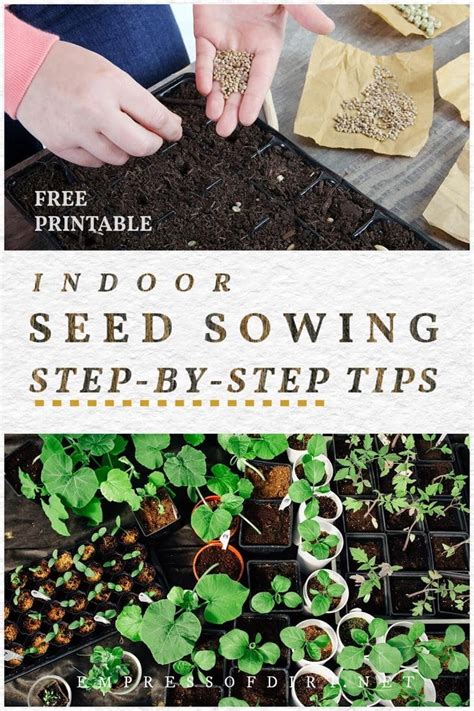How To Sow Seeds Indoors Step By Step Empress Of Dirt