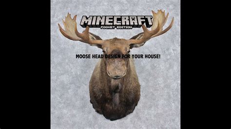 Minecraft Pe I How To Make A Moose Head On Your Wall Youtube