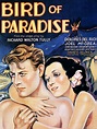 Bird of Paradise - Movie Reviews
