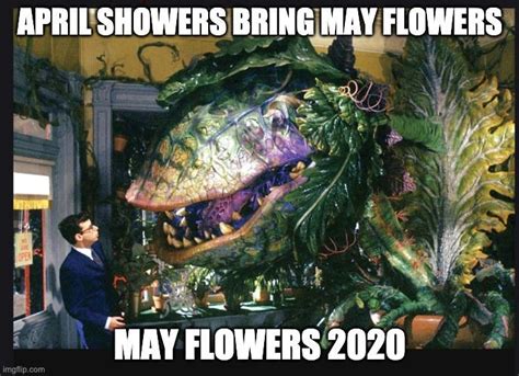 April Showers Memes 7 Images To Share When It Rains This Month In 2021 Funny Relatable Memes