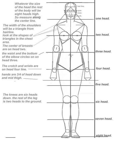 Human Body Drawing Proportions Ideas For Drawing Body Proportions