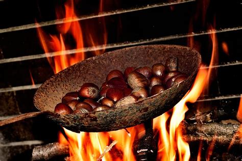 Where In Ny To Find Chestnuts To Roast On An Open Fire