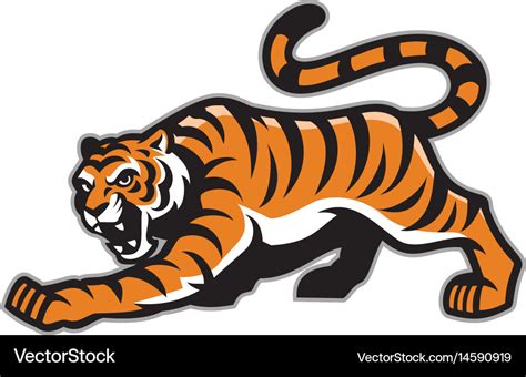 Tiger Mascot Royalty Free Vector Image Vectorstock