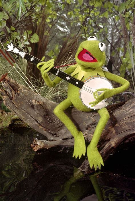 Kermit Banjo Wallpapers On Wallpaperdog