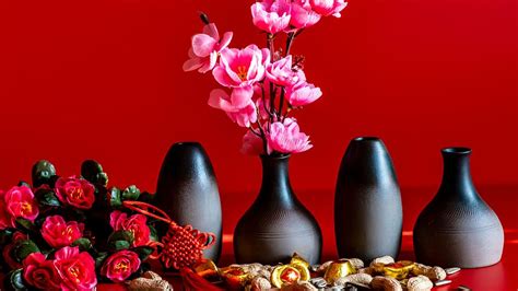 25 Auspicious Plants To Buy For Chinese New Year