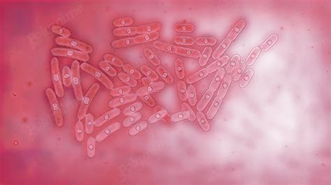 Bacteria Pink Polymime Animation Company Ltd