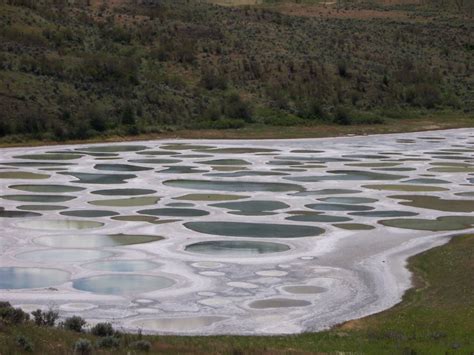 Spotted Lake Osoyoos Canada Photo By Fopma 2004 Natuur