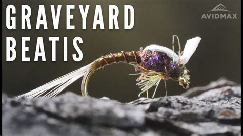How To Tie The Graveyard Baetis Avidmax Fly Tying Tuesday Tutorials