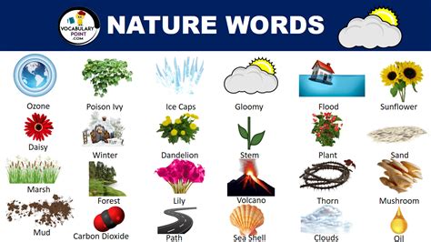 Most Beautiful Nature Words Vocabulary Point