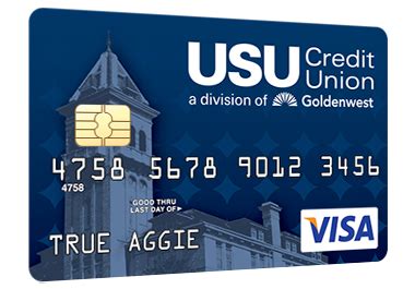 visa basic credit card