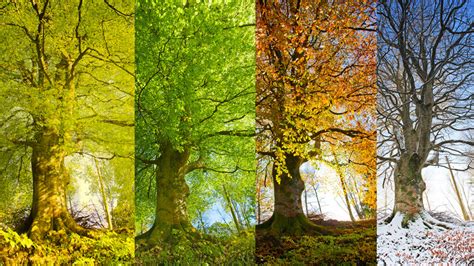 As Earths Climate Changes Is It Time To Redefine The Four Seasons