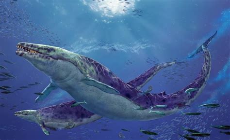 The Largest Prehistoric Marine Life Imgur Prehistoric Animals