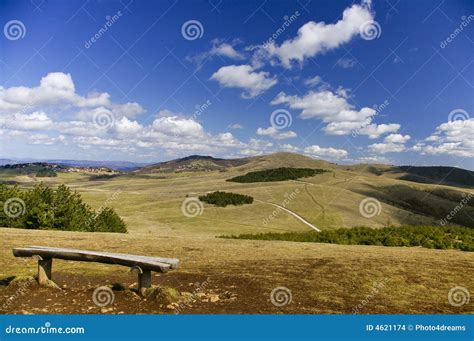 Mountain Zlatiborserbia Stock Photo Image Of Peaceful 4621174