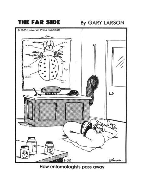 25 Best Images About The Far Side Classics On Pinterest Gary Larson