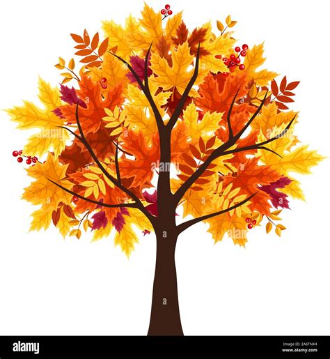 Vector Abstract Autumn Tree Isolated On A White Background Stock Vector