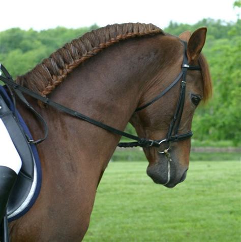 Horse hair jewelry makes for a good memento remembering a beloved horse. The elegants and the perfectness is sooooooooooooo amazing ...