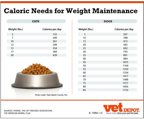 An In Depth Look At Weight Management For Pets Vetdepot Com