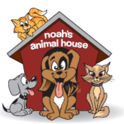 Noahs Animal House Saving Pets Challenge