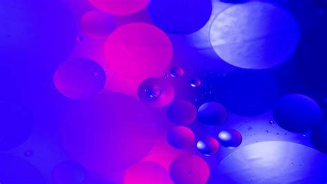 Blue Purple Circles Bubble Water Hd Abstract Wallpapers Hd Wallpapers