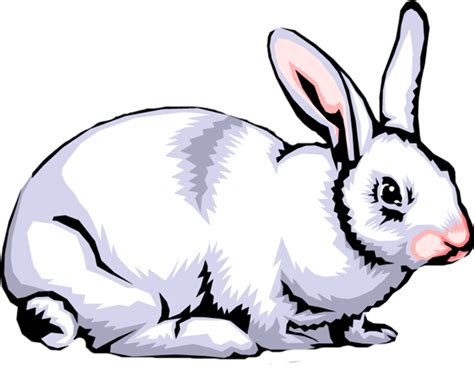 Download High Quality Bunny Clipart Realistic Transparent Png Images