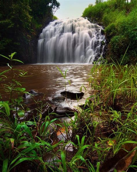 Five Atherton Tablelands Waterfalls You Havent Heard Of Yet Atherton