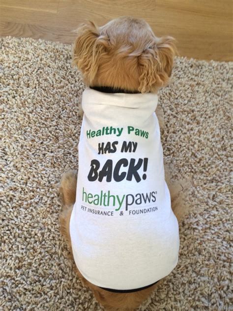 Jan 02, 2018 · healthy paws pet insurance & foundation is the brand name for the program operations of healthy paws pet insurance, llc. Healthy Paws Pet Insurance & Foundation - 13 Photos & 49 Reviews - Pet Insurance - San Diego, CA ...