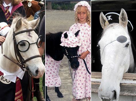 10 Halloween Costume Ideas For Your Horse Pictures