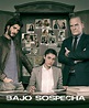 Bajo sospecha (TV Series 2014–2016) - IMDb