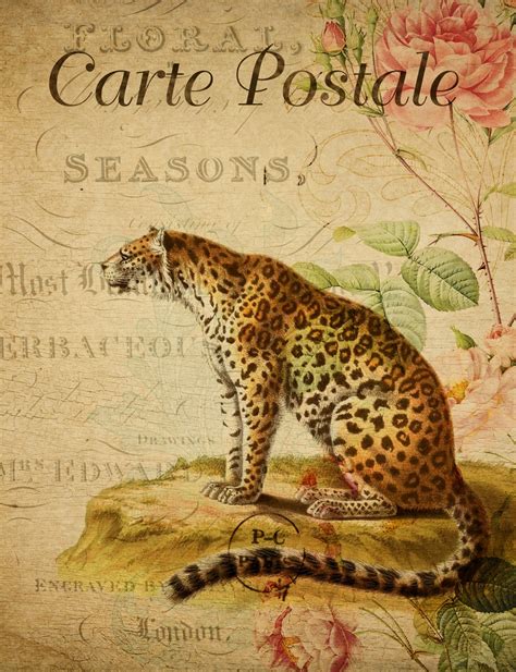 Leopard Vintage Floral Postcard Free Stock Photo Public Domain Pictures