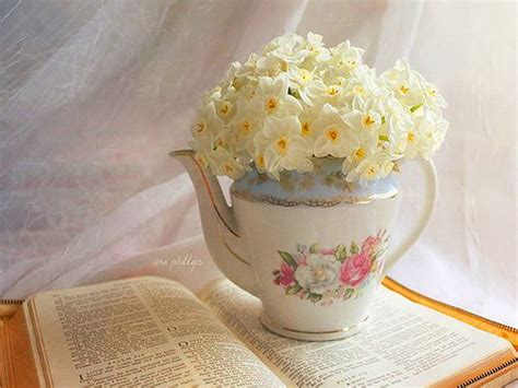 Teapot Of Spring Book Window Light White Flowers Teapot Hd
