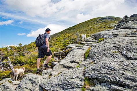 14 Top Rated Hiking Trails In Vermont Planetware