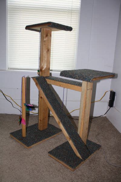 Cat lover's blog, show funny. Making Your Own Cat Tree | Cat trees homemade, Diy cat ...