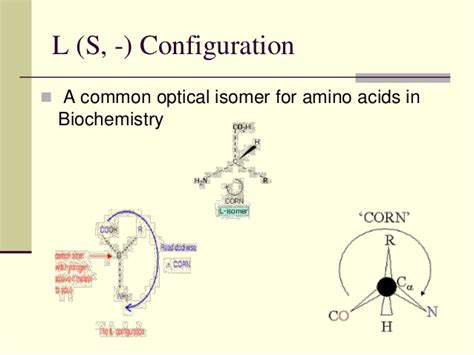 In alanine only the left enantiomer can be metabolized by the enzyme. Basic General, Organic and Biochemistry