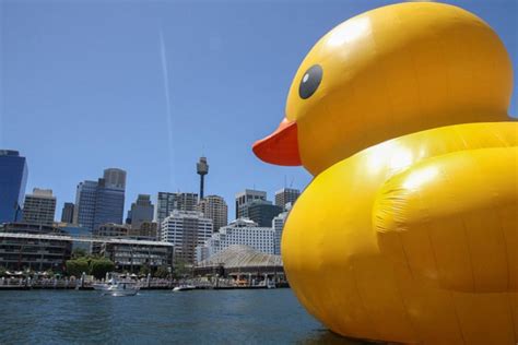 Florentijn Hofman S Five Story Tall Rubber Duck Floats Its Way Into Sydney