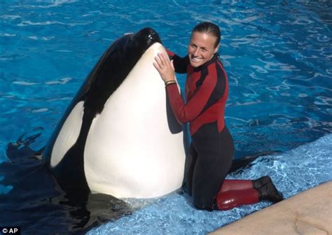 Sea World Killer Whale Shamu Kills Trainer Dawn Brancheau Daily Mail