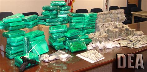 14 People Arrested In Huge Bust Tied To Mexican Drug Cartel The Mercury News