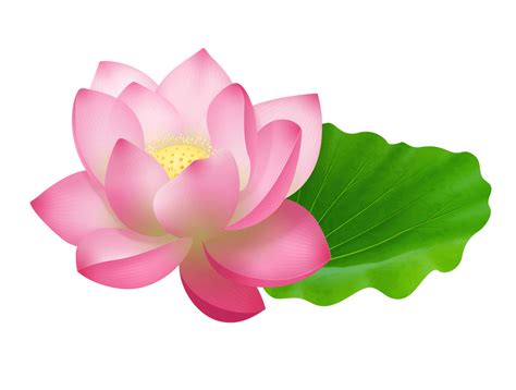 Lotus Clipart Clipartworld