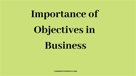 Importance of Objectives in Business - Commerce Mates
