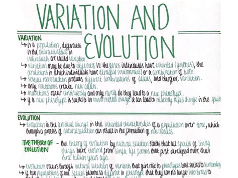 Variation Genetics And Evolution Revision Poster Aqa Gcse Biology