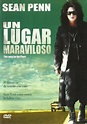 Un Lugar Maravilloso | Dvd Sean Penn Película Seminuevo